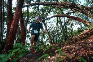 BIB: 
                            <button type="button" onclick="openModal(26345637)" class="btn btn-primary btn-sm float-right btn-popup" data-toggle="modal" data-target=".modal-high-quality">
                        <i class="fas fa-shopping-cart"></i> Add to Cart
                    </button>
                                            <button type="button" onclick="isThisMe(26345637, true)" class="btn btn-success btn-sm float-right btn-popup btn-isme hidden" data-toggle="tooltip" data-placement="bottom" title="นี่คือรูปของคุณใช่ไหม คลิกที่นี่เพื่อเอาเข้าอัลบั้ม">
                        <i class="fas fa-plus"></i> Add to album
                    </button>
                    <button type="button" onclick="isThisMe(26345637, false)" class="btn btn-warning btn-sm float-right btn-popup btn-isnotme hidden">
                        <i class="fas fa-ban"></i> Remove from album
                    </button>